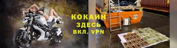 ГАЛЛЮЦИНОГЕННЫЕ ГРИБЫ Остров