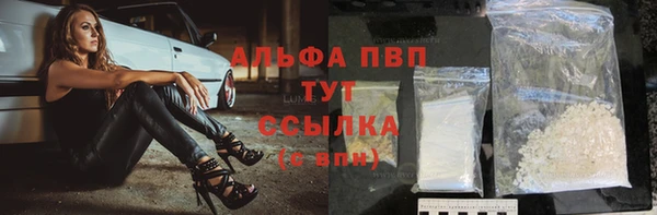 ГАЛЛЮЦИНОГЕННЫЕ ГРИБЫ Остров