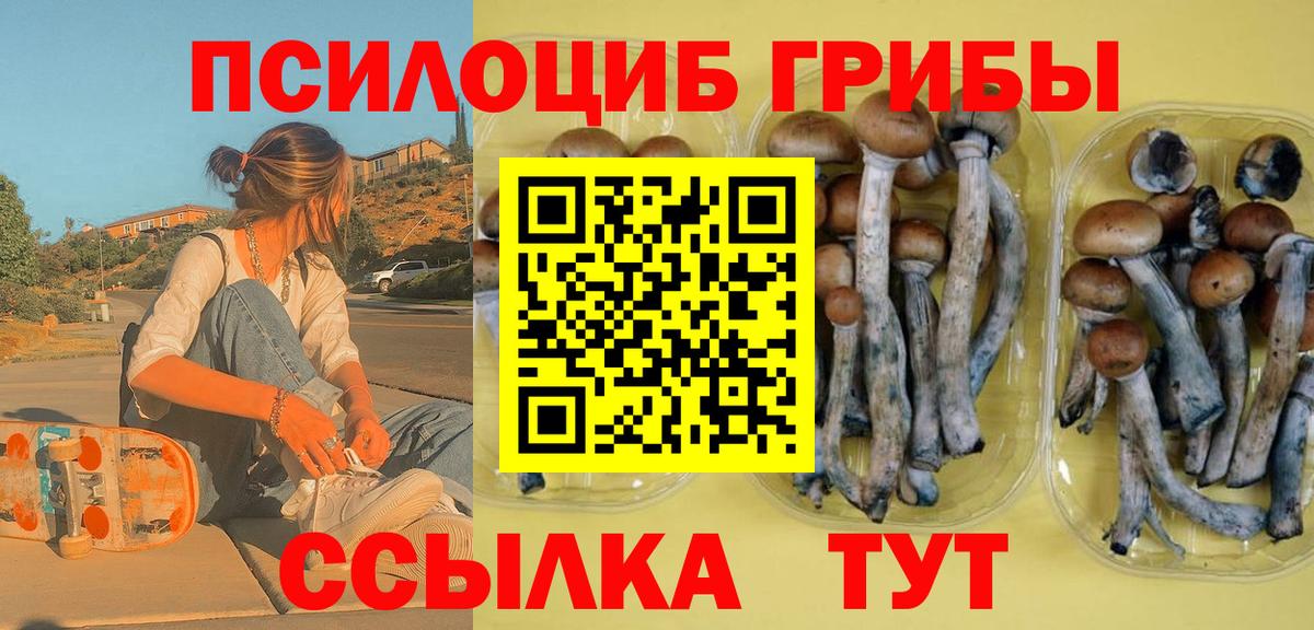 Галлюциногенные грибы мицелий Моршанск
